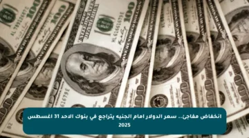 انخفاض مفاجئ.. سعر الدولار أمام الجنيه يتراجع في بنوك الأحد 31 أغسطس 2025
